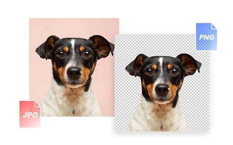 Convertir vídeo a JPG o PNG con métodos en línea y fuera de línea.